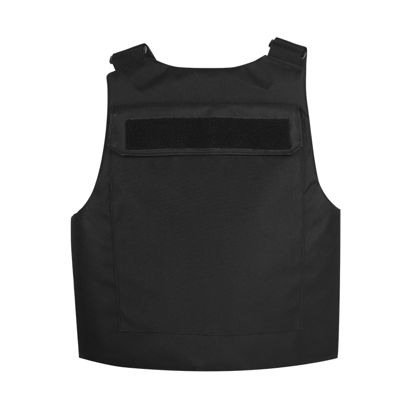 Plater Portitorem Tactical Vestis Aliquam Swat