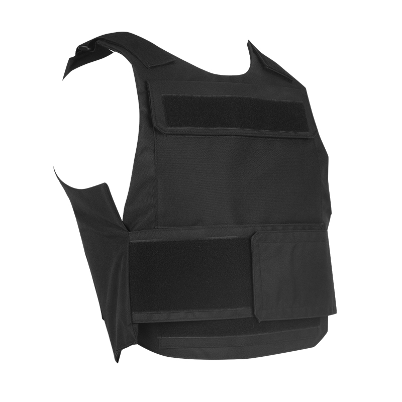 Plater Portitorem Tactical Vestis Aliquam Swat